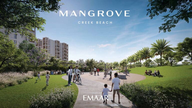 Mangrove-Creek-Beach-03