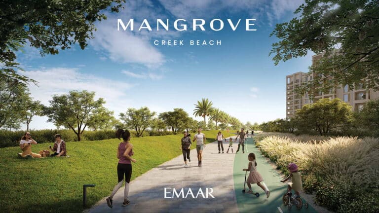 Mangrove-Creek-Beach-04