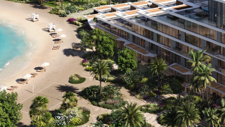 palm-central-2