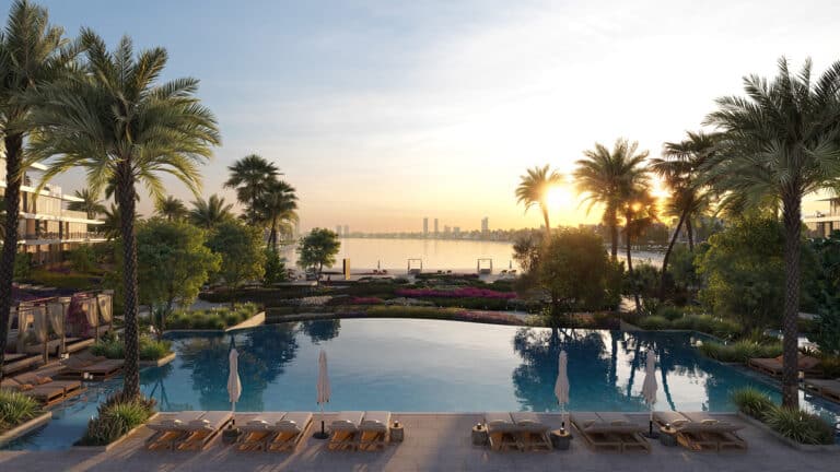palm-central-6