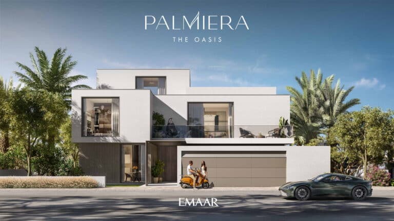 palmiera-02