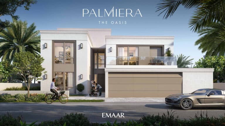 palmiera-05
