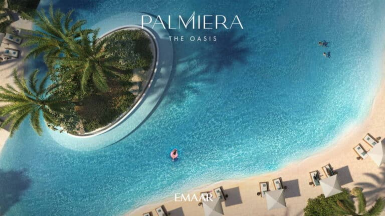 palmiera-16