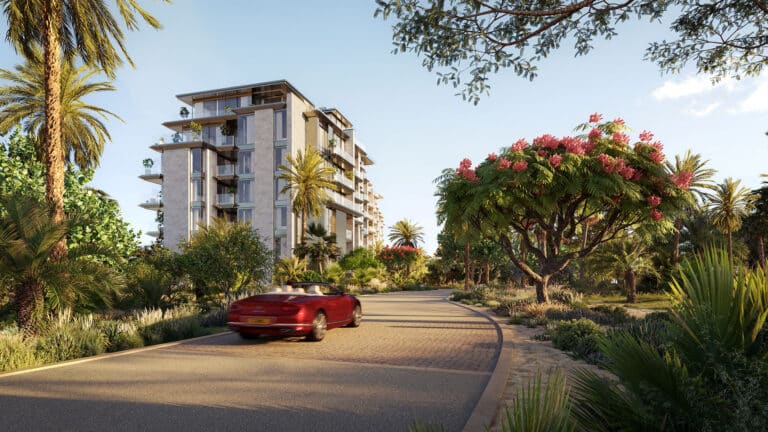 solaya-3